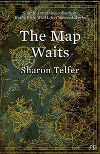 Enlarge image Cover: The Map Waits - Reflex Press