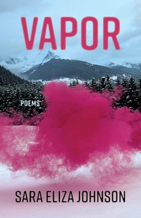 Enlarge image Cover: Vapor - Milkweed Editions