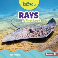 Enlarge image Cover: Rays - Lerner Publishing Group
