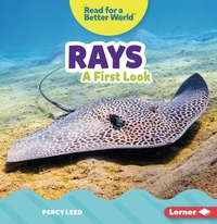 Enlarge image Cover: Rays - Lerner Publishing Group