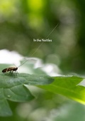 Cover: In the Nettles - Edward Wright