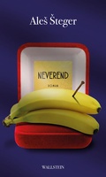 Cover: Neverend - Wallstein