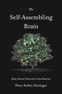 Abbildung von: The Self-Assembling Brain - Princeton University Press