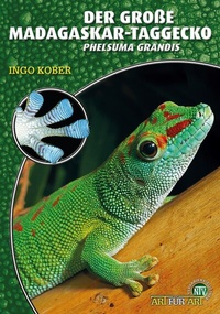 Abbildung von: Der Große Madagaskar-Taggecko - Natur und Tier