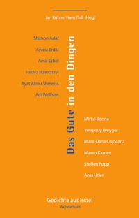 Abbildung von: Das Gute in den Dingen - Das Wunderhorn