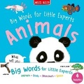 Cover: Big Words for Little Experts 4-pack - Miles Kelly Publishing Ltd