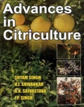 Cover: Advances In Citriculture - Jagmander Book Agency