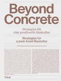 Cover: Beyond Concrete. - Triest Verlag