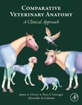 Bild: Comparative Veterinary Anatomy - Academic Press
