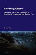 Cover: Picturing Ghosts - Peter Lang Verlag