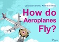 Cover: How do Aeroplanes Fly? - Saga Egmont
