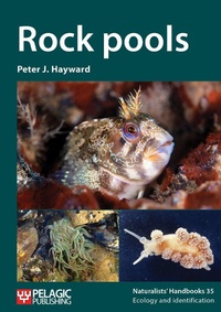 Abbildung von: Rock pools - Pelagic Publishing