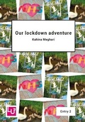 Cover: Our lockdown adventure - Learning Unlimited Ltd