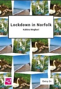 Cover: Lockdown in Norfolk - Learning Unlimited Ltd