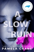 Cover: A Slow Ruin : Library Journal IAP Book of the Year - Rockin' C Reads