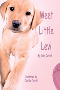 Cover: Meet Little Levi - Angus&may Creations Ltd.