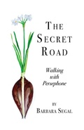 Cover: The Secret Road - Finishing Line Press
