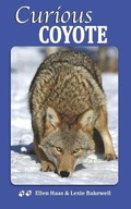 Cover: Curious Coyote - Ziebee Media