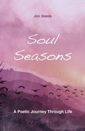 Cover: SOUL SEASONS - NEW CITY