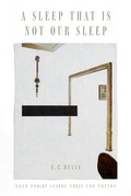 Cover: A Sleep That Is Not Our Sleep - Anhinga Press