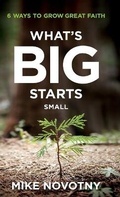 Cover: What's Big Starts Small - Bethany House Publishers