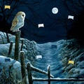 Cover: Zettel-Adventskalender - Magie und Mythos der Winter-Weihnacht - Coppenrath