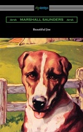 Cover: Beautiful Joe - Neeland Media LLC