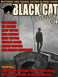 Cover: Black Cat Weekly #14 - Wildside Press