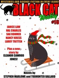 Cover: Black Cat Weekly #15 - Wildside Press