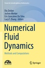 Cover: Numerical Fluid Dynamics - Springer