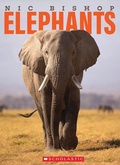 Cover: Nic Bishop Elephants - Scholastic Press