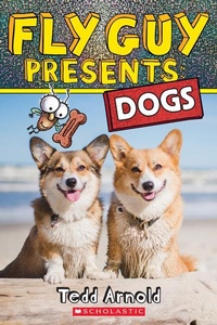 Enlarge image Cover: Fly Guy Presents: Dogs - Scholastic US