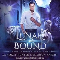 Enlarge image Cover: Lunar Bound - Tantor Audio