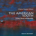 Cover: The American South - Tantor Audio