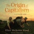 Cover: The Origin of Capitalism - Tantor Audio