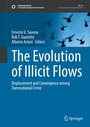 Cover: The Evolution of Illicit Flows - Springer