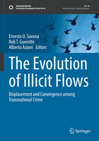 Enlarge image Cover: The Evolution of Illicit Flows - Springer