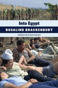 Cover: Into Egypt - Michael Walmer