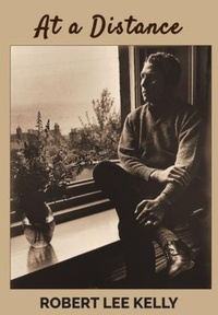 Enlarge image Cover: At a Distance - R.L. Kelly