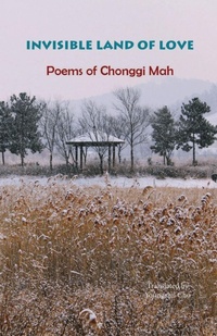 Enlarge image Cover: Invisible Land of Love - Homa & Sekey Books