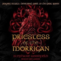 Abbildung von: Priestess of the Morrigan - Tantor Audio