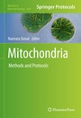 Cover: Mitochondria - Humana