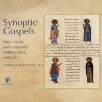 Bild: Synoptic Gospels - LEARN25