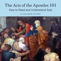 Cover: The Acts of the Apostles 101 - Learn25
