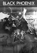 Cover: Black Phoenix: Third World Perspectives on Contemporary Art and Culture - Primary Information