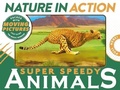 Cover: Super Speedy Animals - Igloo Books