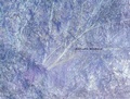 Cover: Richard Misrach: Notations - Radius Books