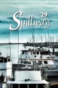Enlarge image Cover: Spillway 29 - Tebot Bach