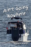 Cover: Ain't Going Nowhere - David Bewley