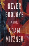 Cover: Never Goodbye - Audible Studios on Brilliance